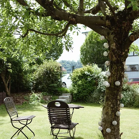 Elisabeth - & Salzburg