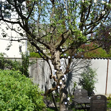 Elisabeth - & Penzion Solnohrad