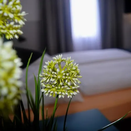 Elisabeth - & Penzion Solnohrad