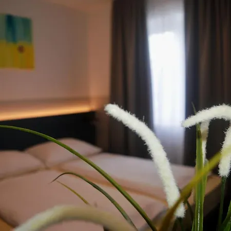 Affittacamere Elisabeth - & Salisburgo